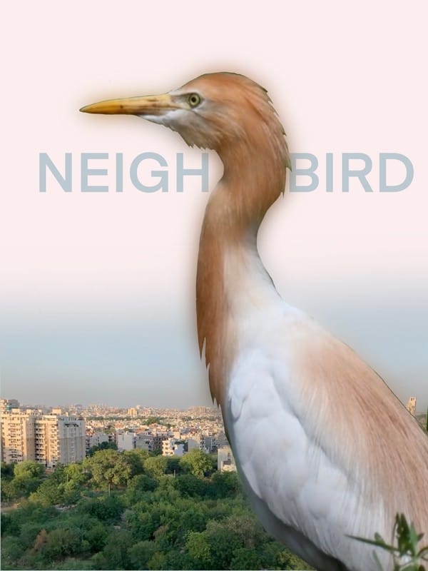 Behind-the-scenes of making a documentary